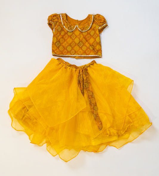 Pre Order: Mustard Yellow Crop Top and Organza 3 layered skirt