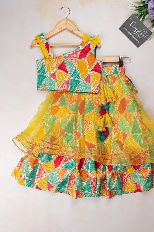 Pre Order: Multi Color rayon and yellow organza two layered lehenga with designer crop top