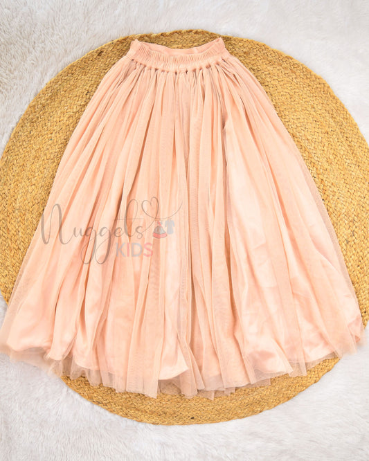 Ready to Ship: Peach Netted Lehenga
